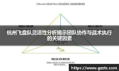 杭州飞盘队灵活性分析揭示团队协作与战术执行的关键因素